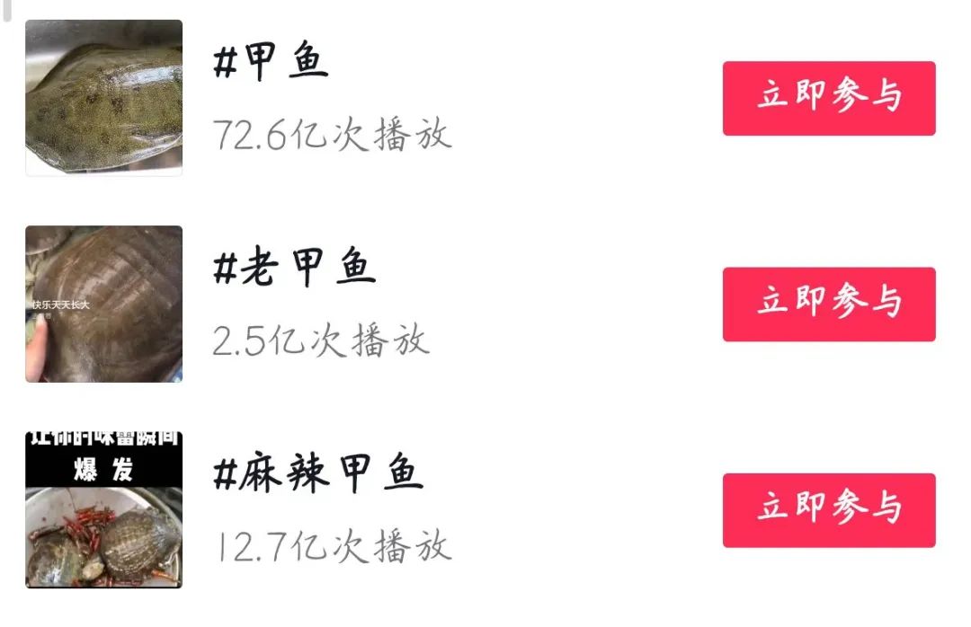 甲鱼热销菜,甲鱼半成品预制菜推荐