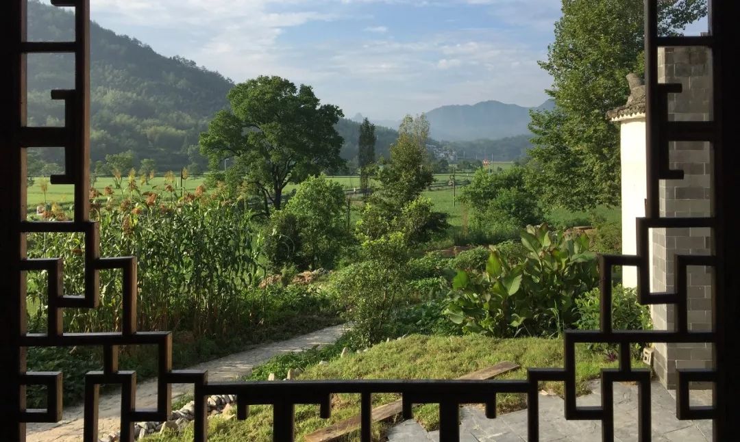 来宏村玩什么,来宏村