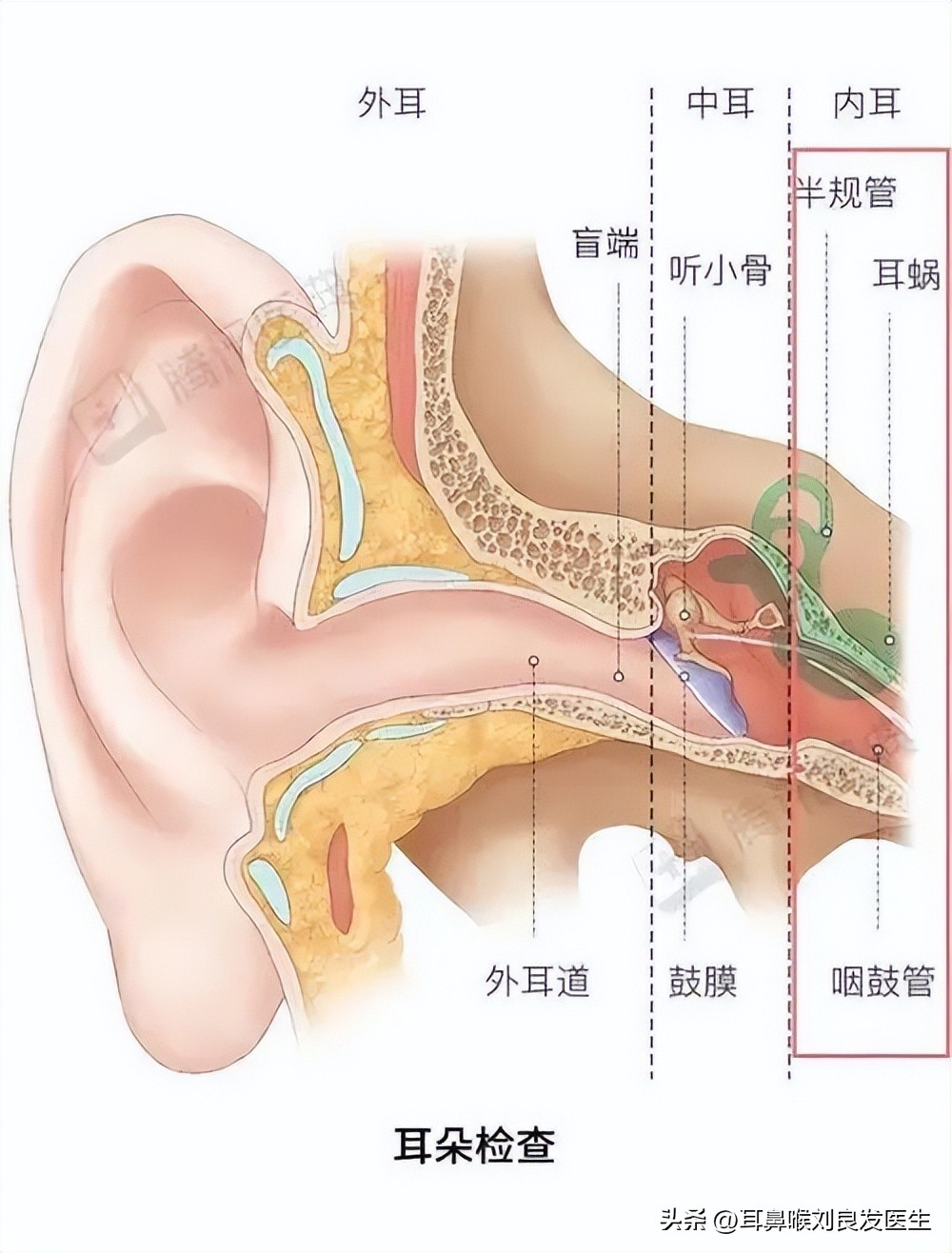 耳科知识科普针对老人图文,耳科知识科普