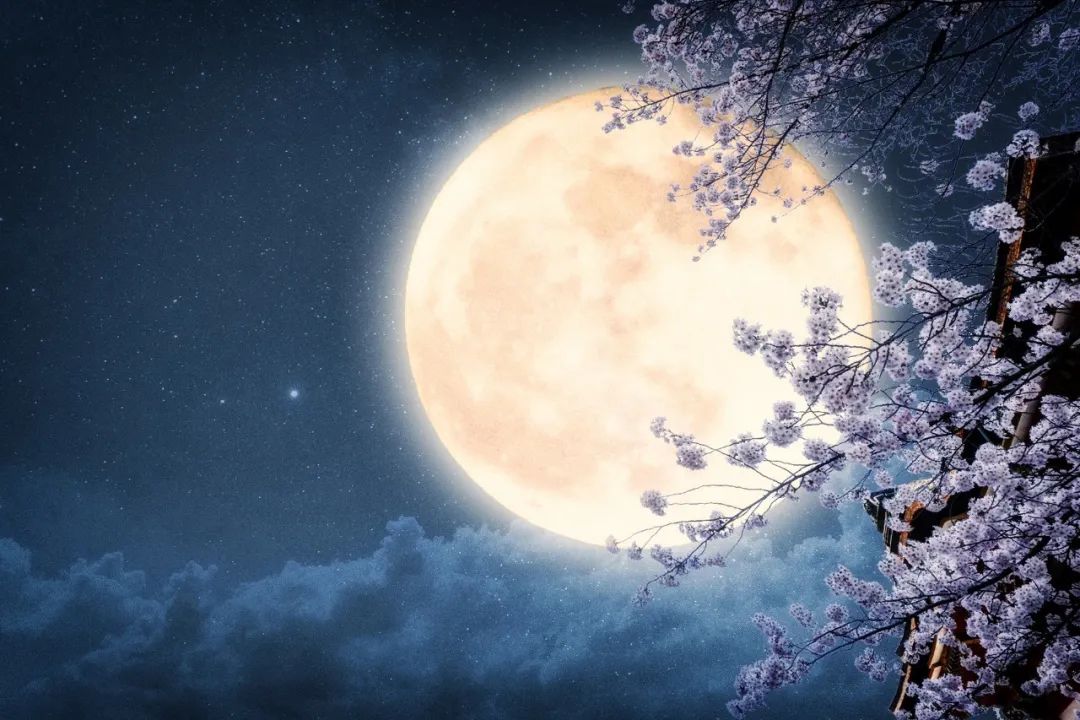 张若虚春江花月夜鉴赏,春江花月夜张若虚经典咏流传