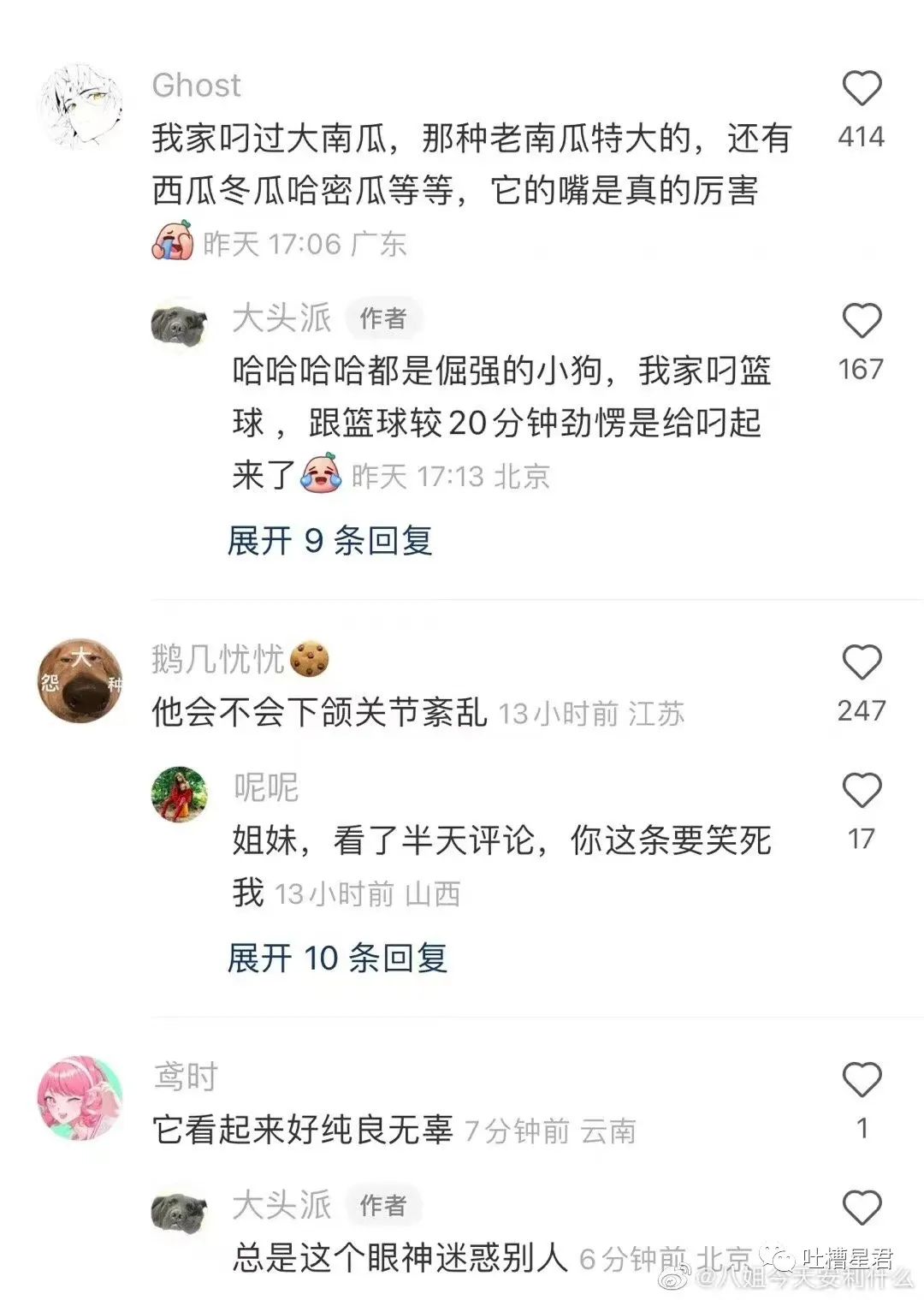 “男友花4200买Prada绿帽子？”网友笑疯：爷可以免费给别人戴