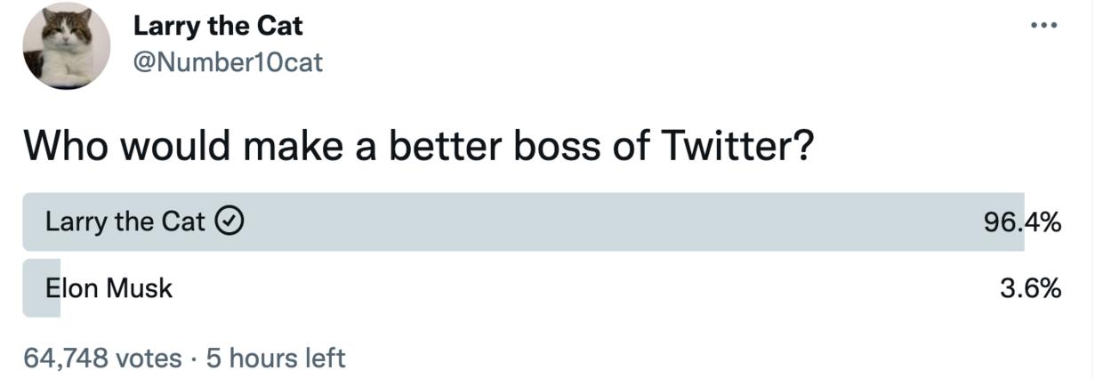 马斯克推特爆料选举丑闻,马斯克和伊万卡关系