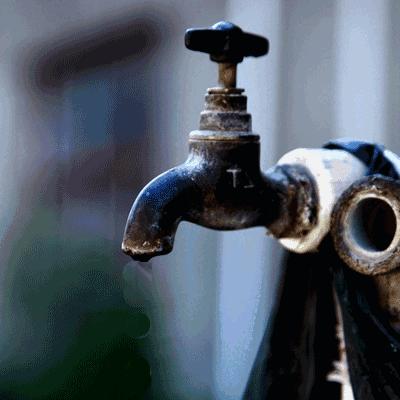 主人被隔离宠物怎么办,主人确诊了猫狗怎么办