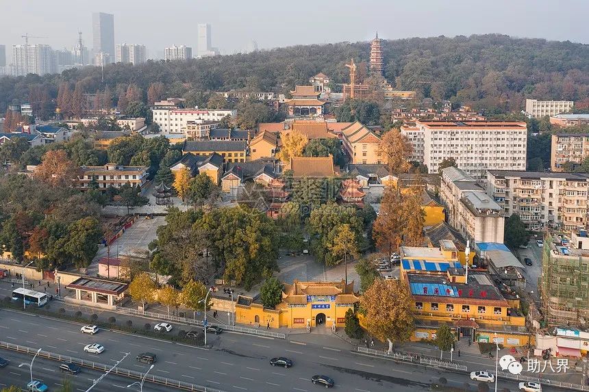 武汉十大旅游景点排名,武汉江夏网红打卡景点大全
