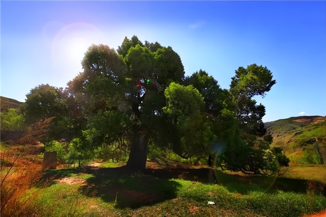 大美崇信，诚信之城欢迎您！