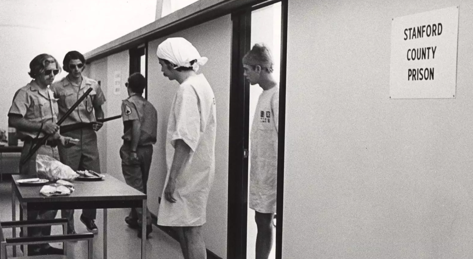 美国白鼠的繁衍,美国白鼠能繁衍多少只