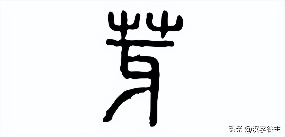 姹夊瓧妞嶇墿,鑽夋湪姹夊瓧