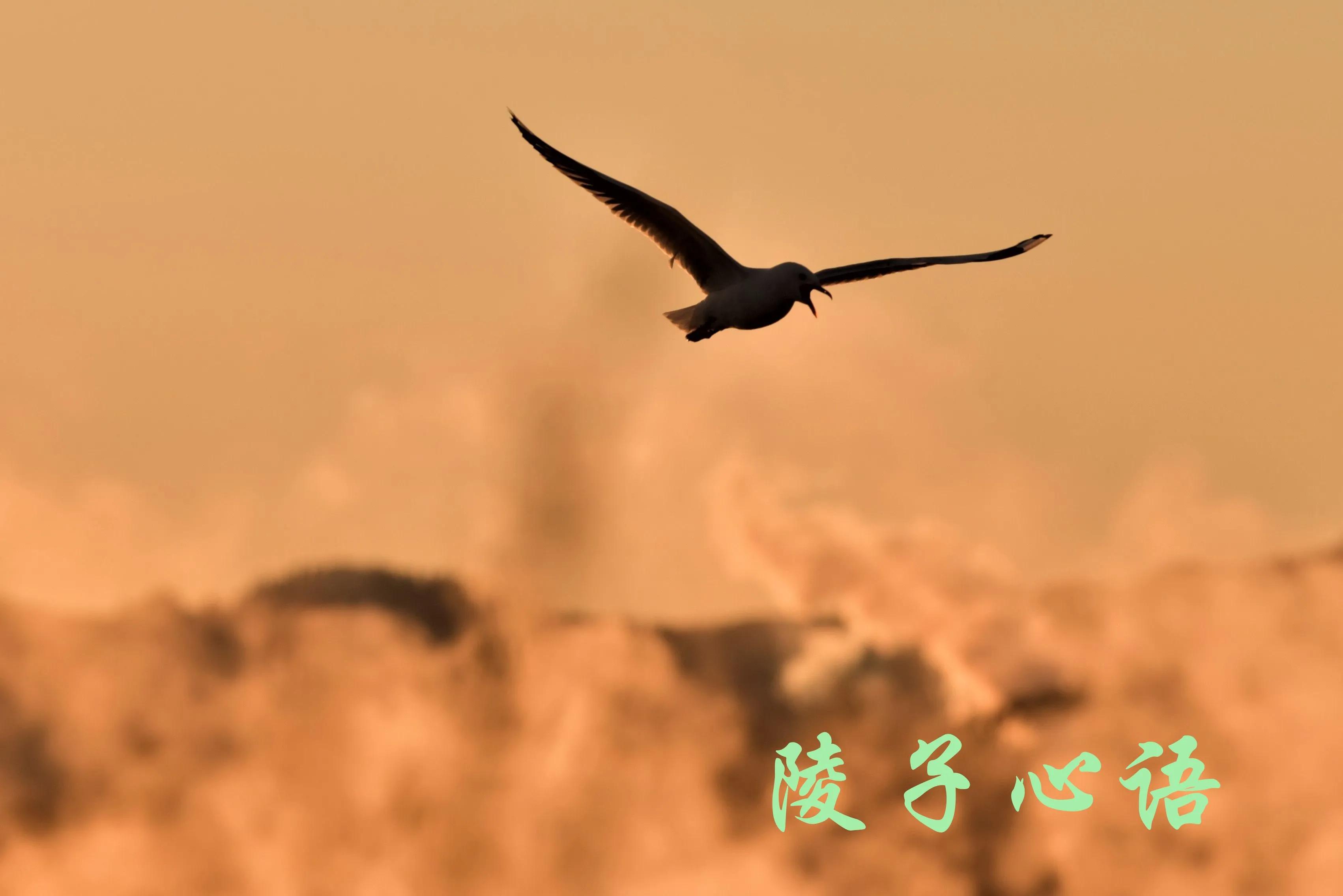 牙疼能自愈需要根管治疗吗,牙疼是根管治疗好还是拔牙种牙好