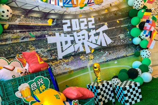 从卡塔尔世界杯看大学专业,从卡塔尔世界杯看中国足球