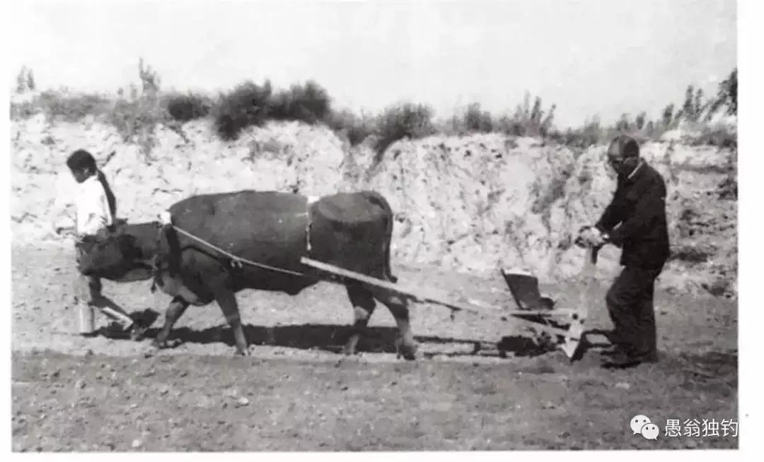 民间农村笑话大全集,乡村笑话搞笑段子