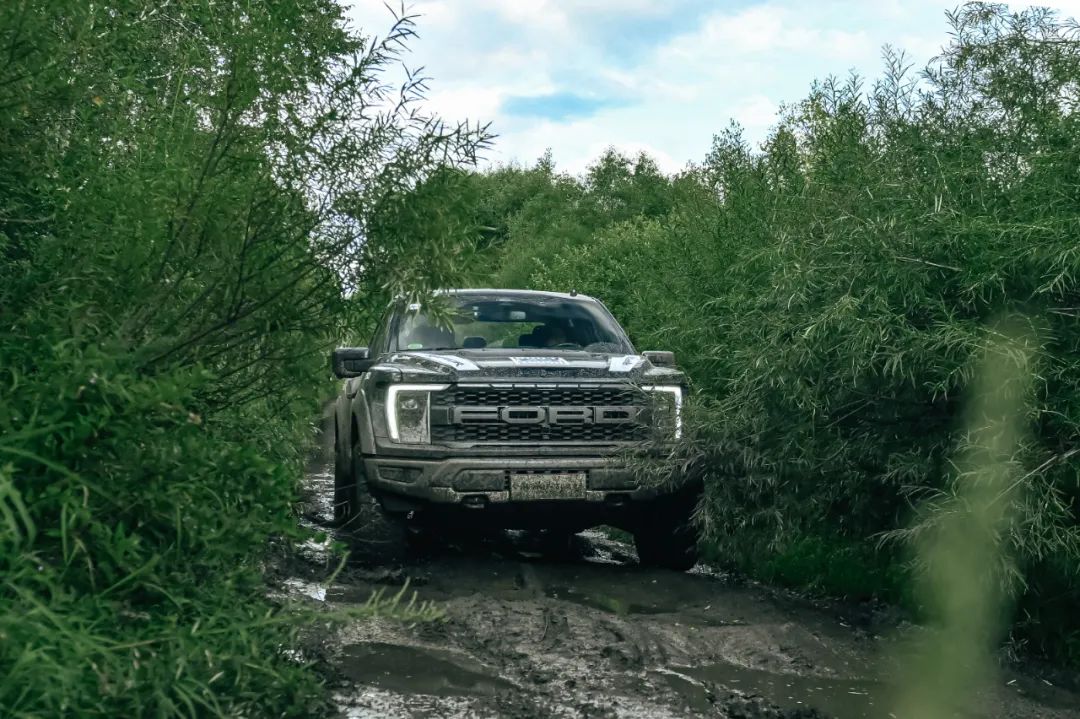 为啥福特f-150这么便宜,为什么福特f150很少见了