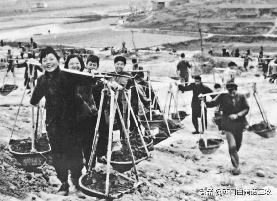 生产队记忆小视频,生产队牛棚记忆