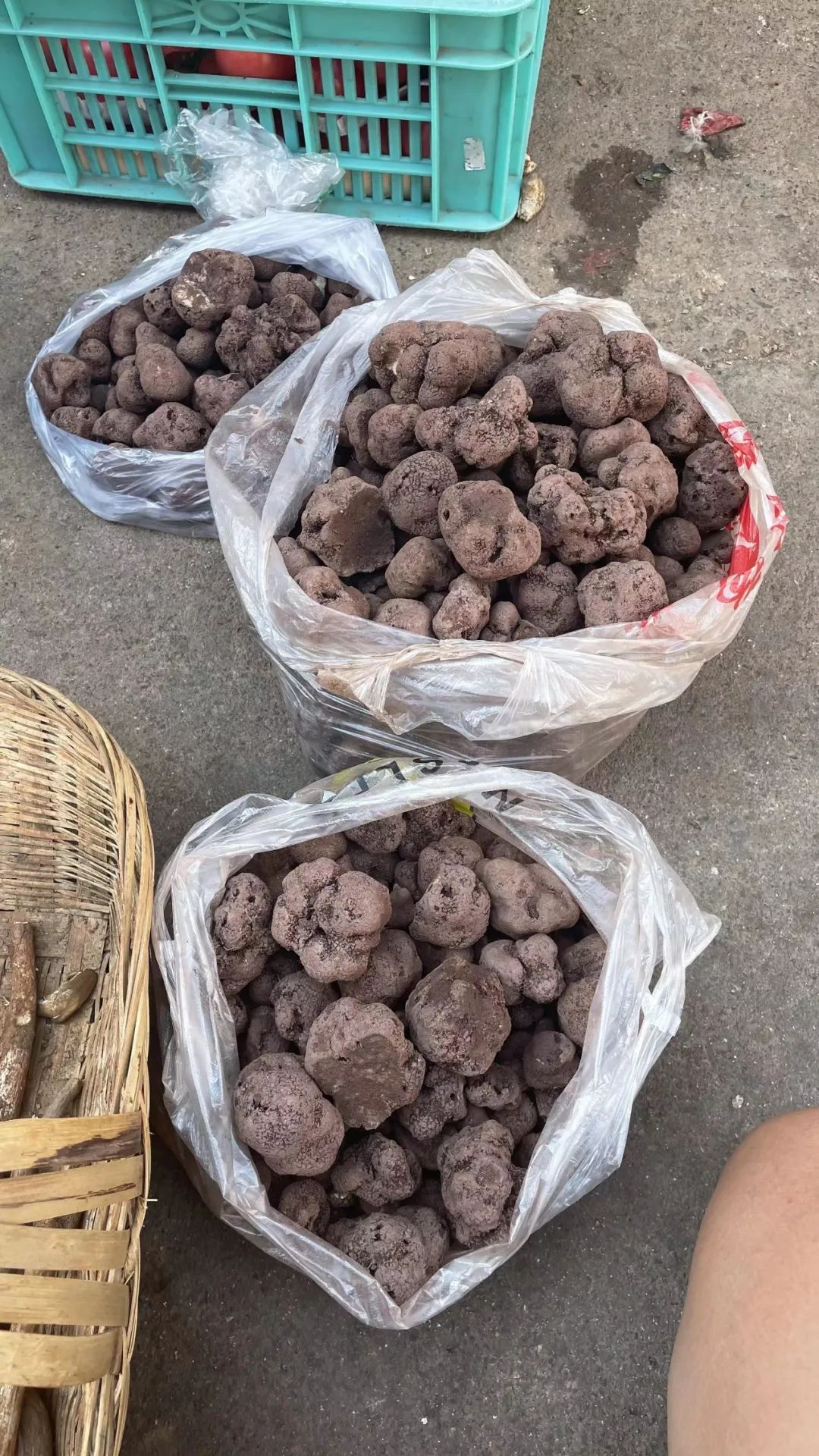 外地朋友来四川吃美食,外地朋友来四川吃苍蝇馆子