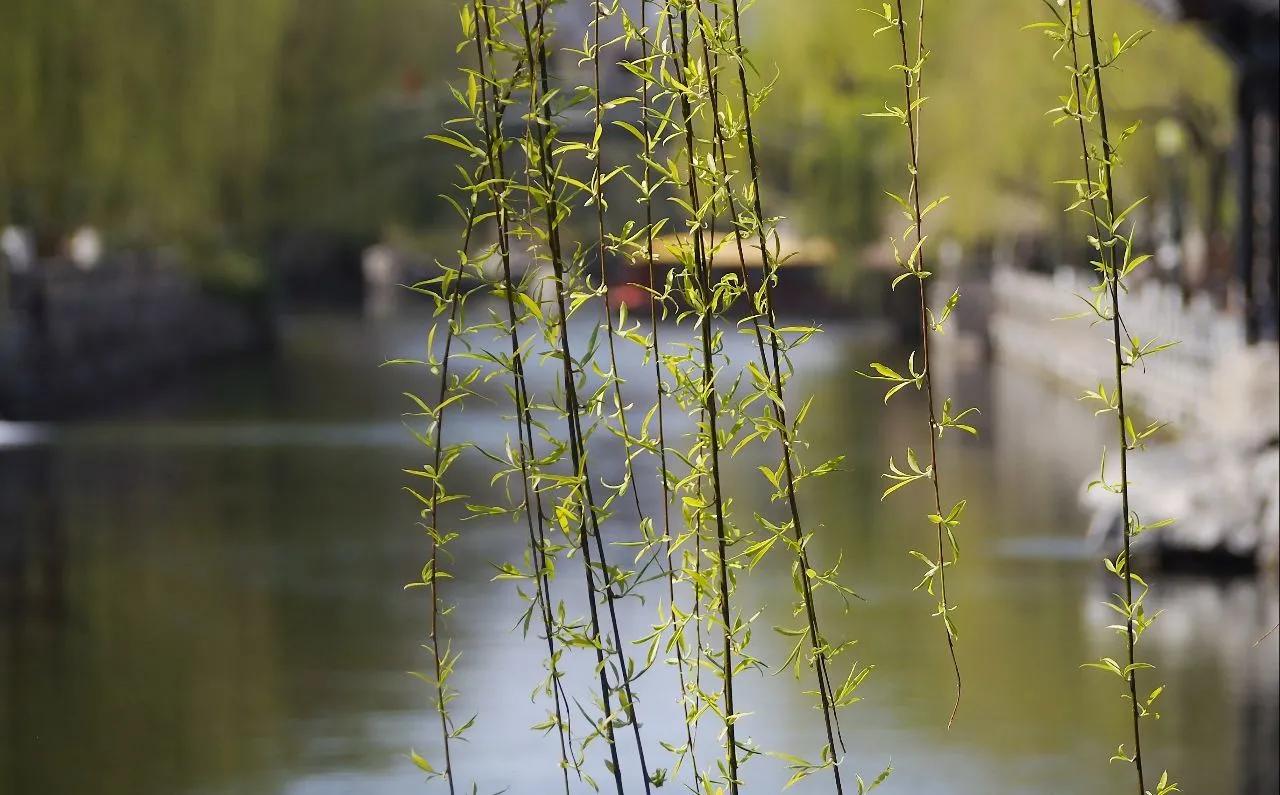 鏃跺厜娓呮祬宀佹湀瀹夌劧闈欏ソ,鏄ユ繁澶忔祬宀佹湀闈欏ソ
