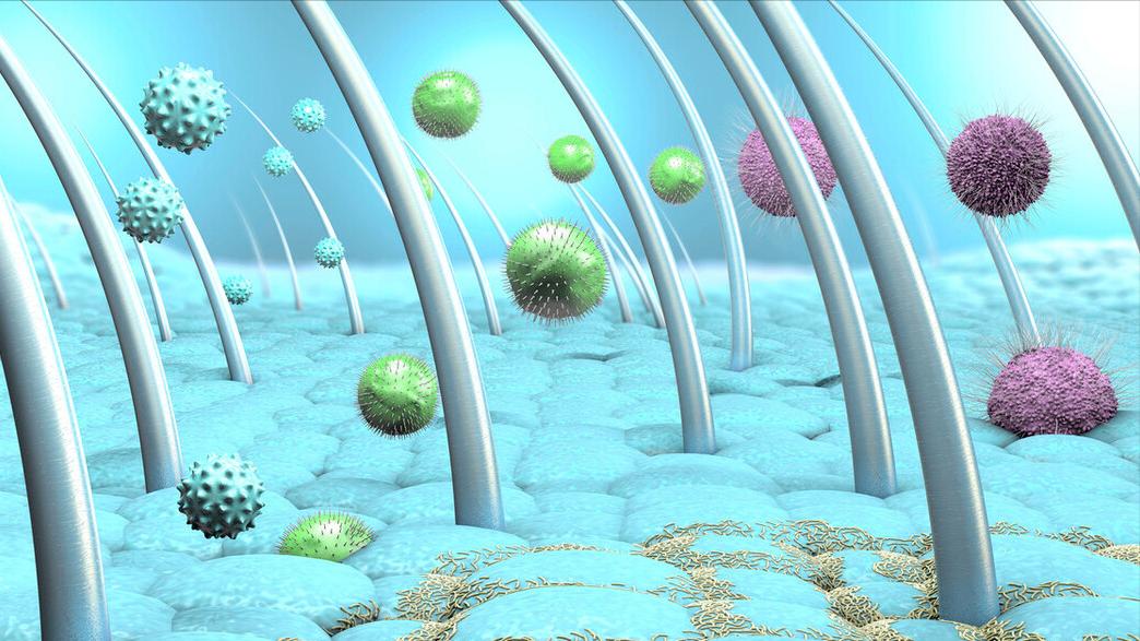 女性屁股中间毛太多,正常吗?能不能直接剃掉?医生劝你手下留情