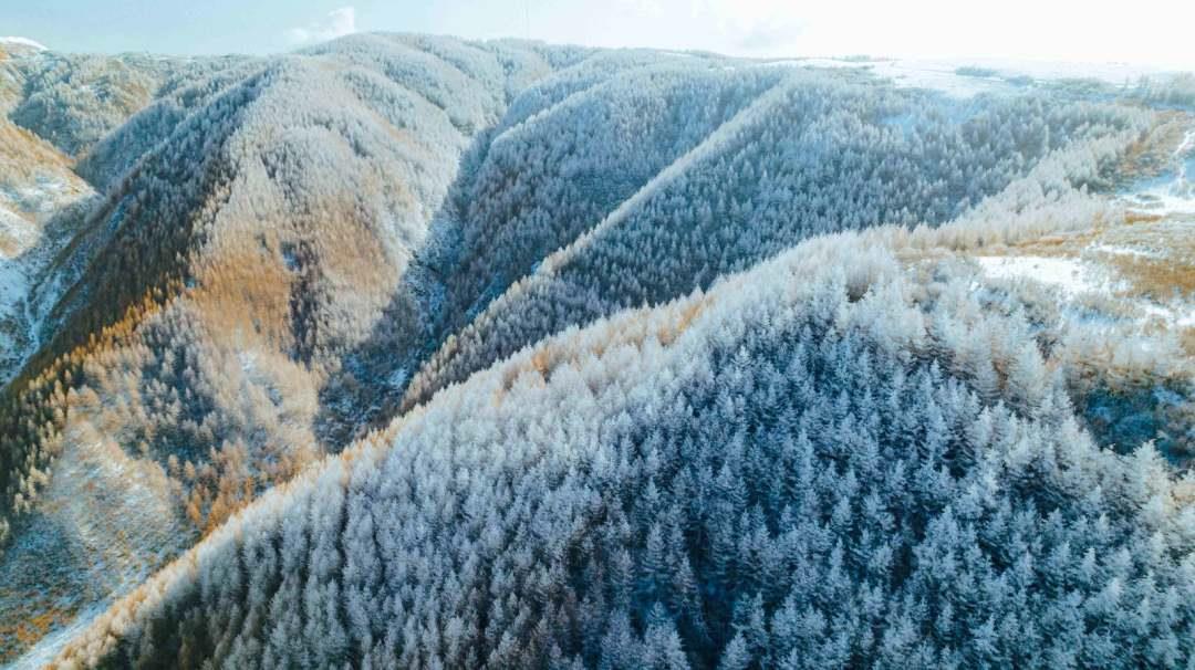 天然氧吧养生避暑,洗肺养心醒脑的天然大氧吧