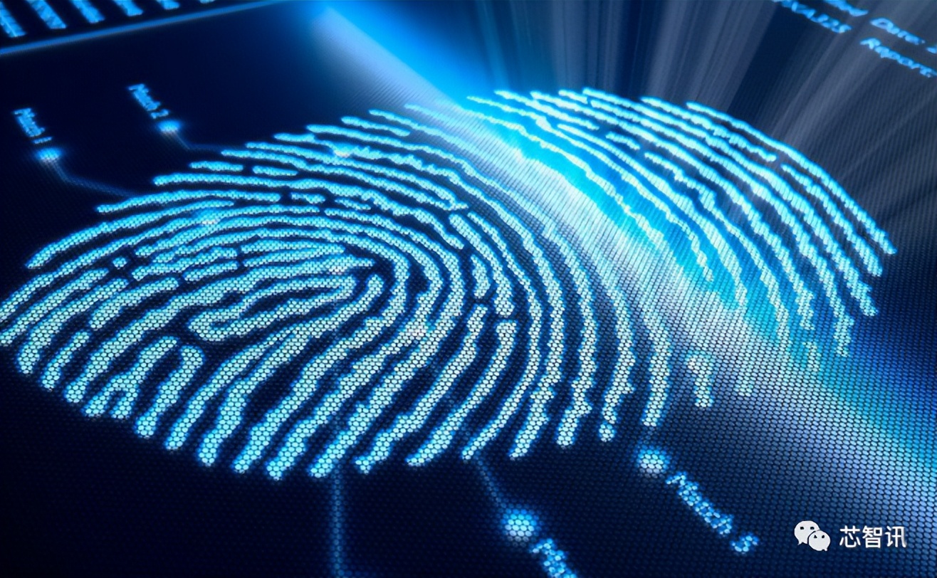 迈瑞微也曾经历过“锐迪微”的伤痛