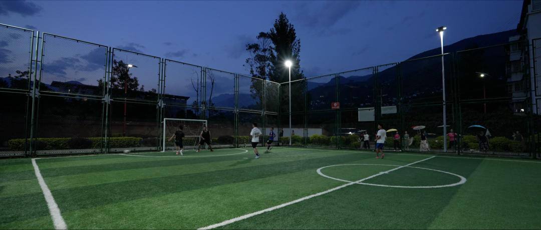 我要把拉马拍成阿甘