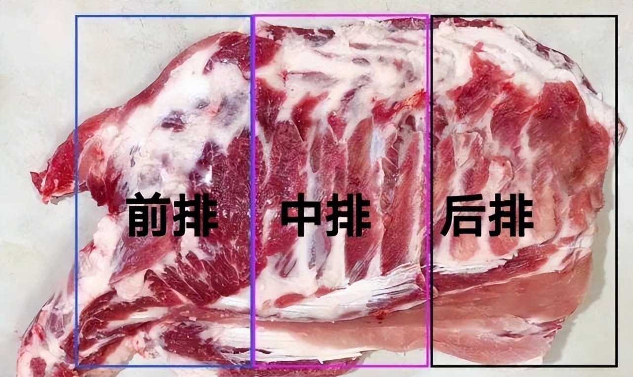 排骨买前排还是后排营养好,排骨分清前排后排脆骨差别很大
