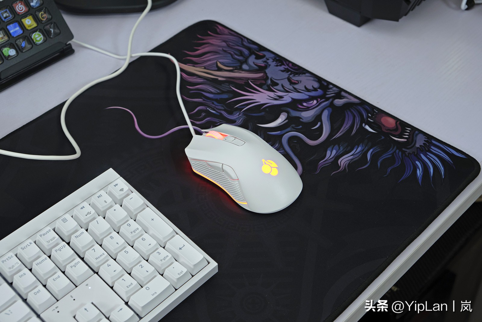 cherry澶栬鎺ㄨ崘,cherry澶栬鍜嬫牱