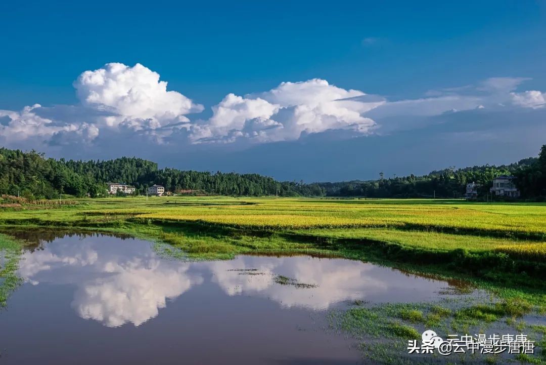 岳池旅游景点大全推荐,行走的美景
