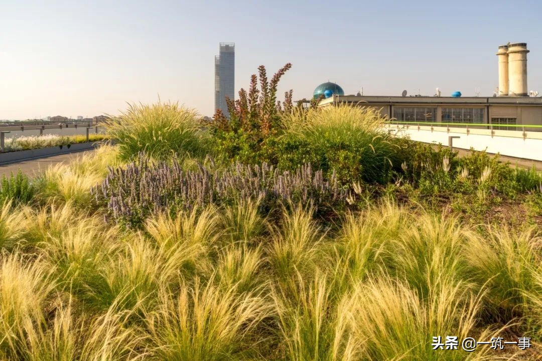 带你看六款奇葩的房屋建筑,法式建筑房顶设计效果图大全