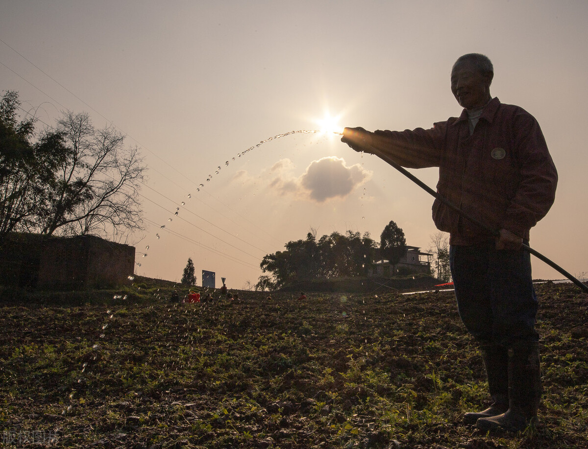 泛癌早筛行业如何,中国泛癌种早筛早诊研究项目启动