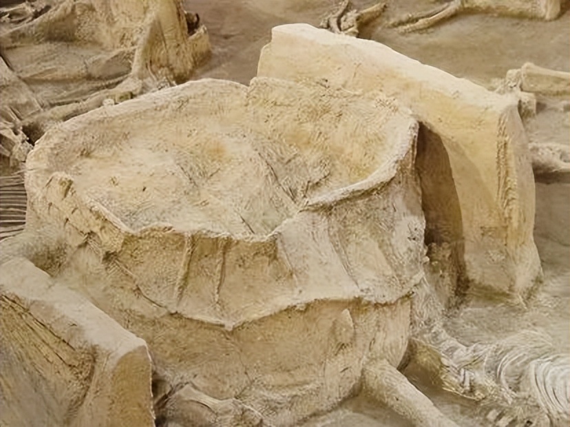 潘付生:“天子驾六”车马坑发现20周年记