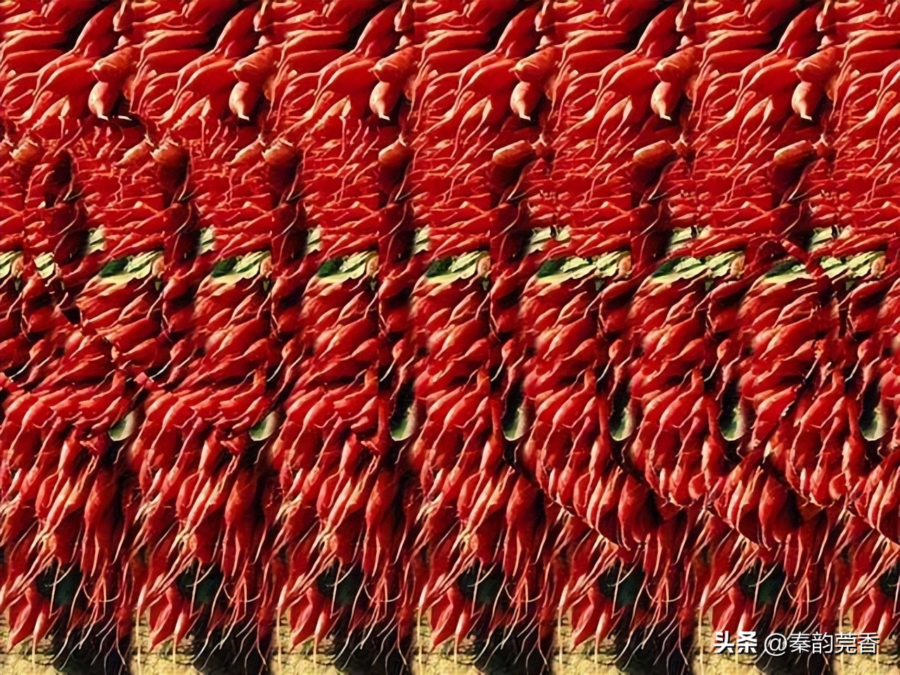 三维立体图能发现什么,三维立体图找隐藏图片