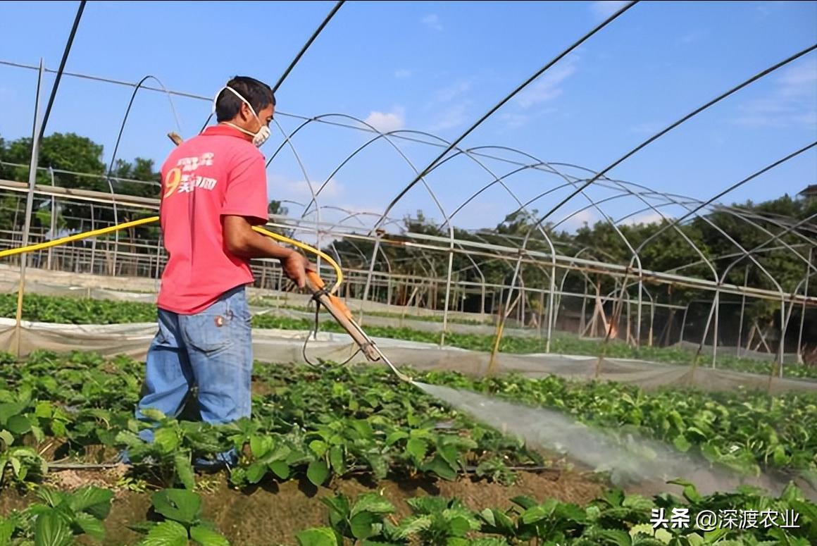如何简单有效地解决重茬病,蔬菜重茬用什么办法解决