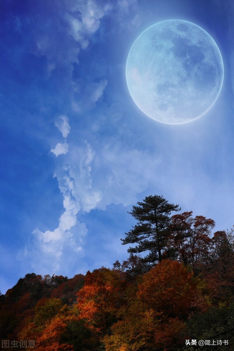 明月诗句经典古诗,一树梨花一溪月不知今夜属何人