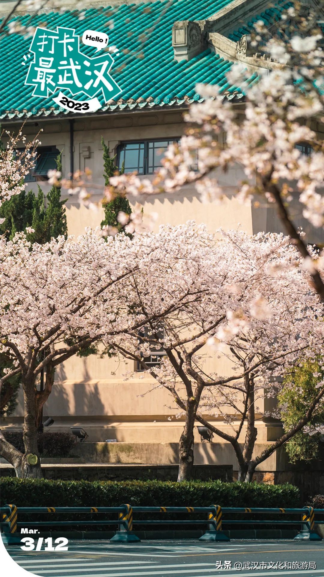 武大云赏樱预约通道,2024年武大赏樱怎么预约