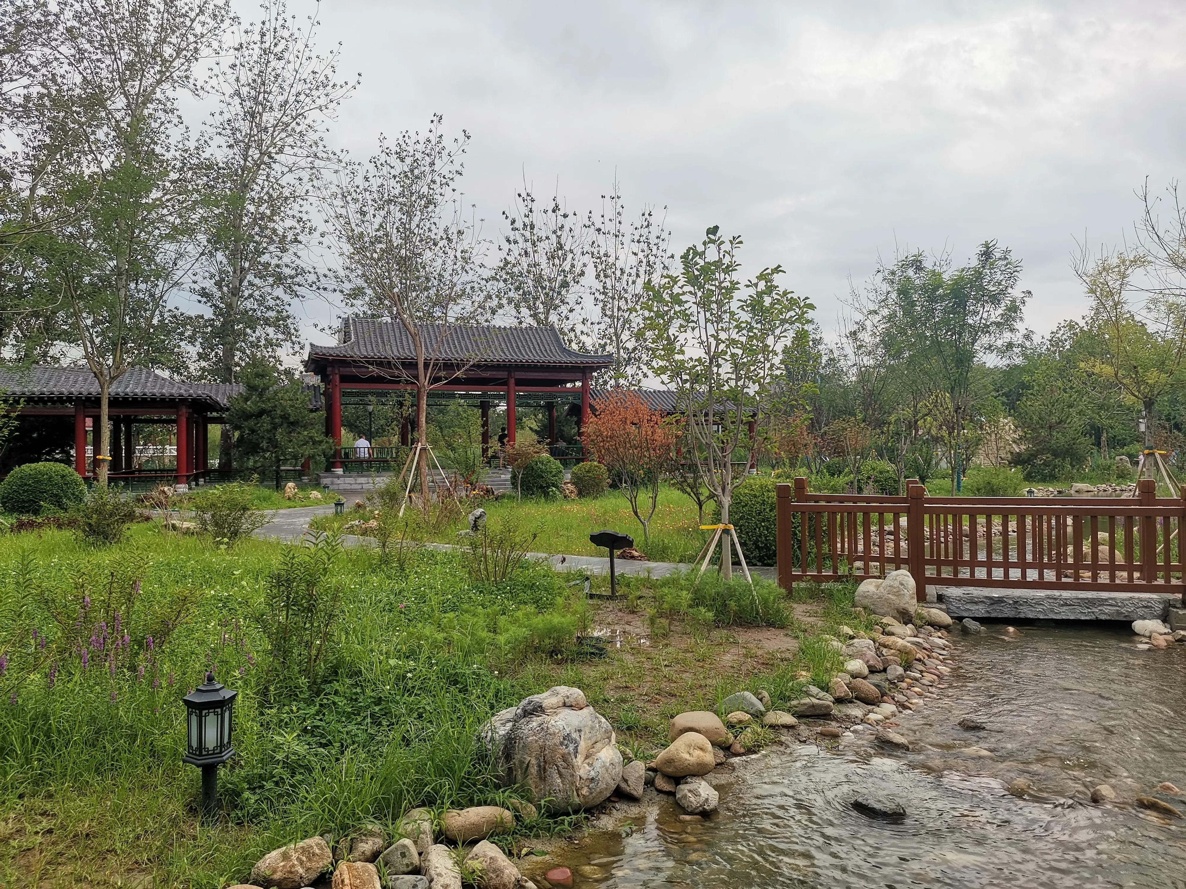 大雨过后的天津,大雨后的公园视频