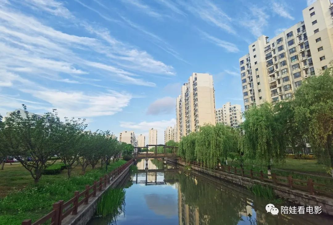 上海封控一个月开支统计：我真的不要吃莴笋了