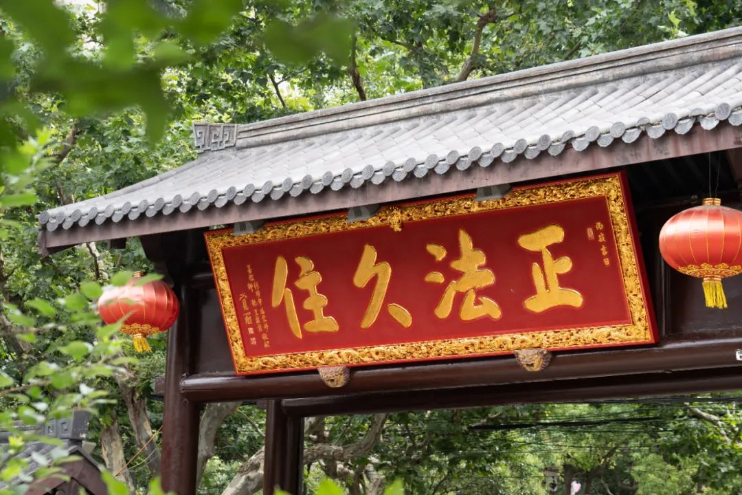 听人劝吃饱饭有道理吗,听人劝吃饱饭有什么说法