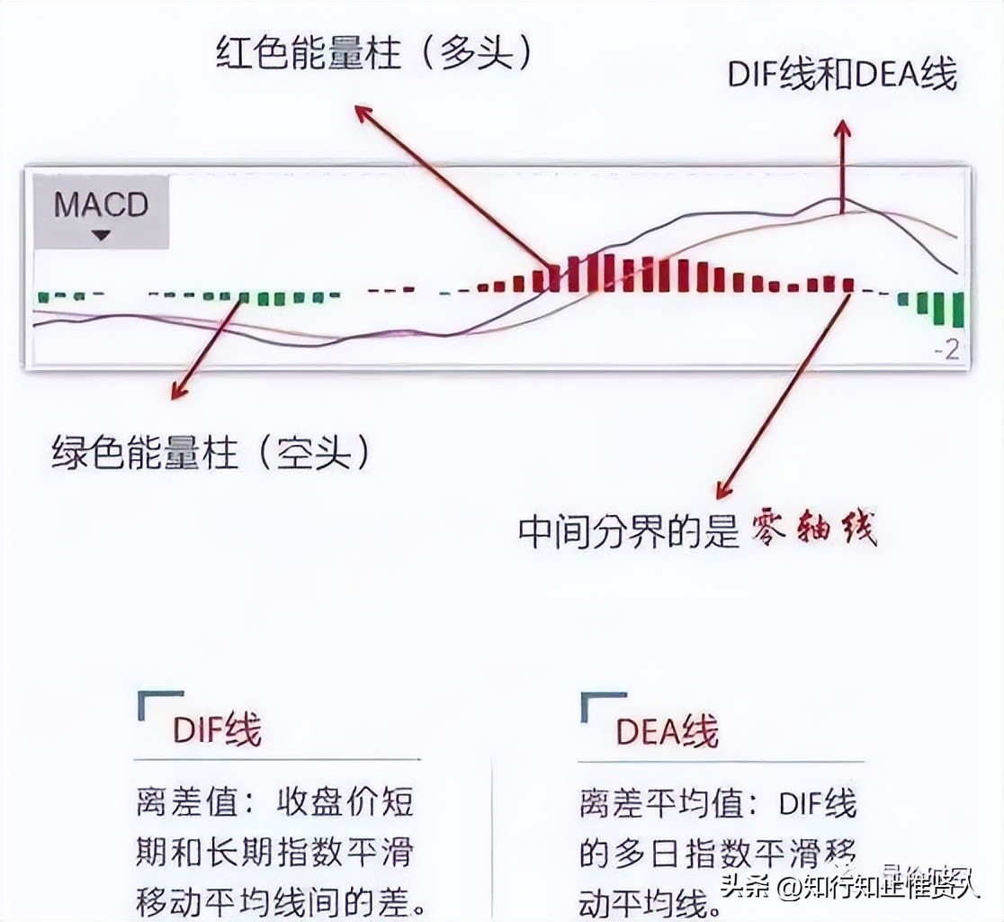 学到极致是什么意思,学到极致便是沧海一粟