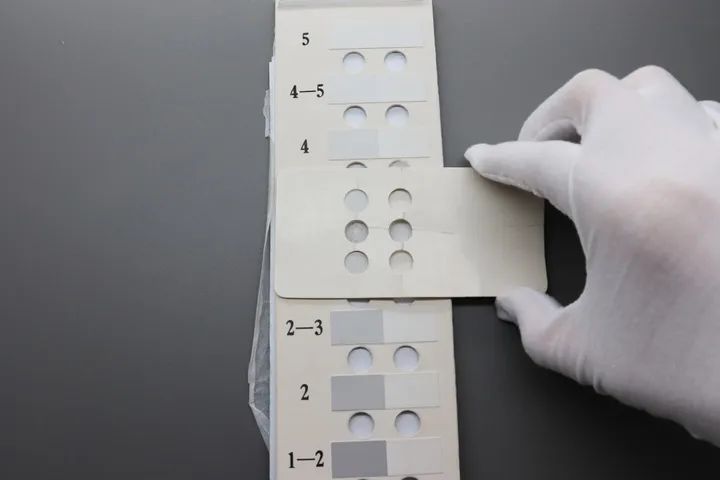 3元左右长筒袜推荐,舒适透气的短袜推荐