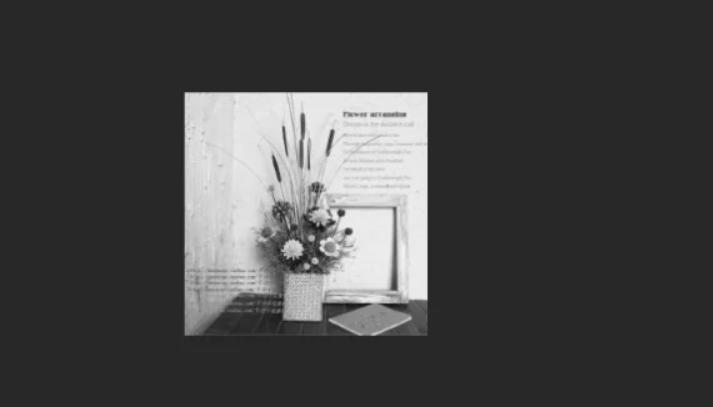 如何快速让图片改成黑白,如何把彩色图片变成黑白的图片