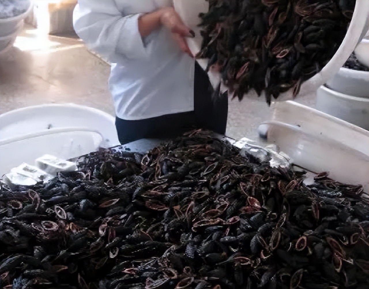 槟榔大王分家产,槟榔大王死亡之谜最新判决