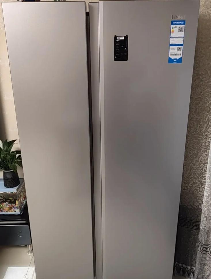 3000左右的双开门冰箱好吗,3000元冰箱和10000元区别