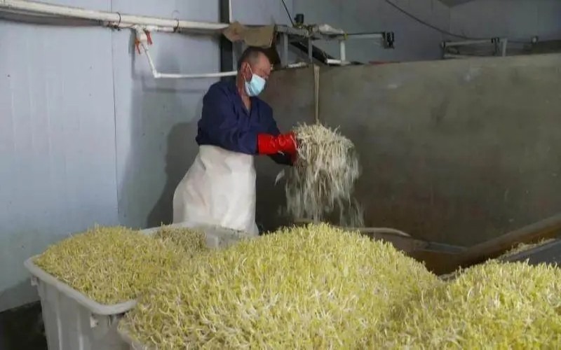 一万块钱的暴利生意,低投入月入2万的10个小生意