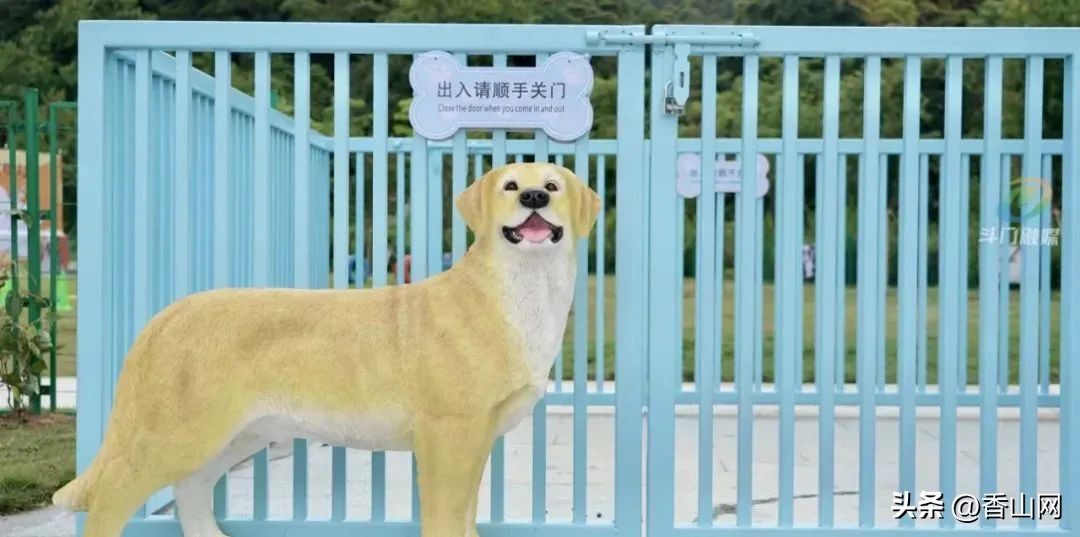 珠海宠物可以去的公园,珠海香山湖公园让遛狗吗