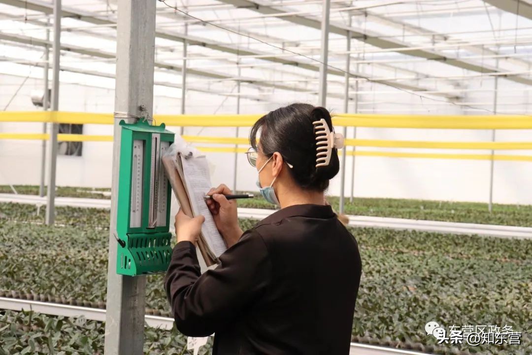 走在前开新局日照,走在前开新局出处