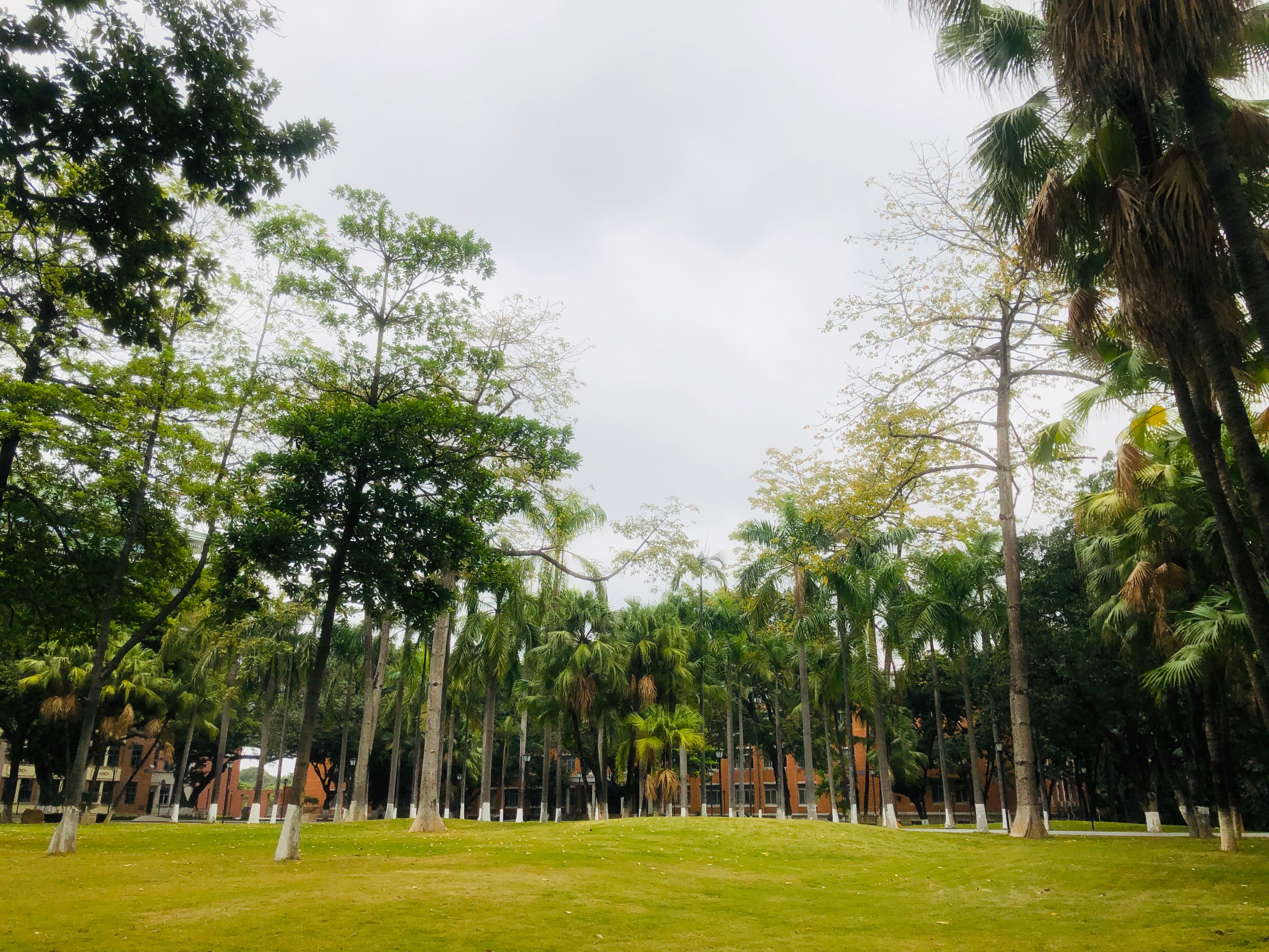 广州小城五山这个地方有多少个大学?