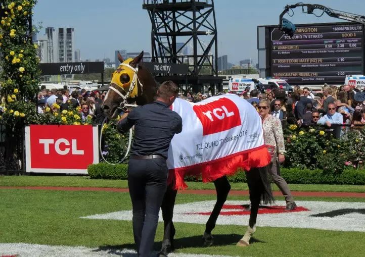鍘熸潵鐨勮寘鍙伴厭,涓変竴閲嶅伐鑼呭彴