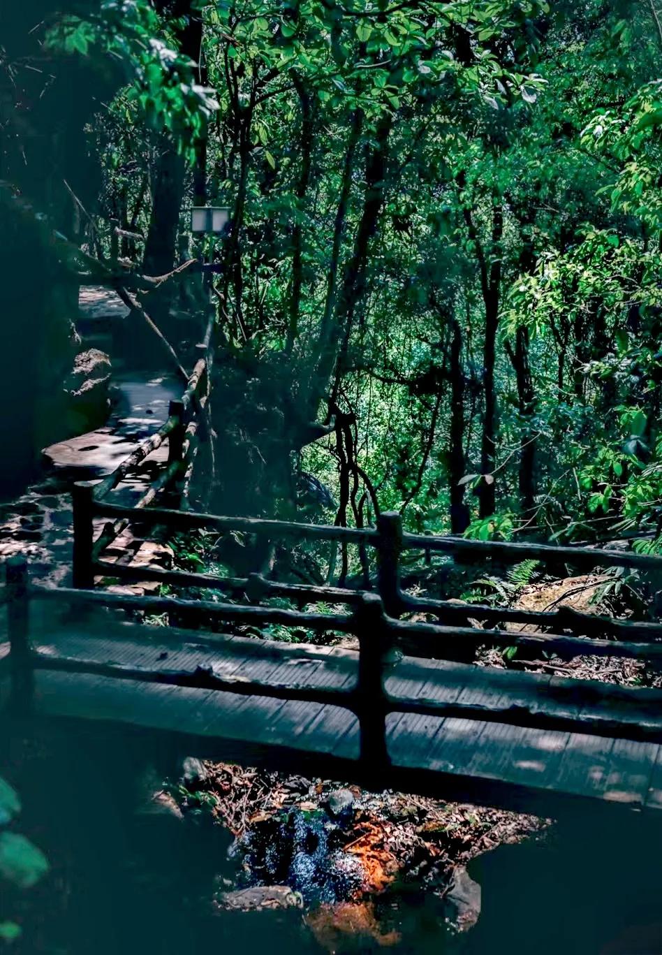 云南临沧旅游必去的景点排名,临沧最值得去的景点