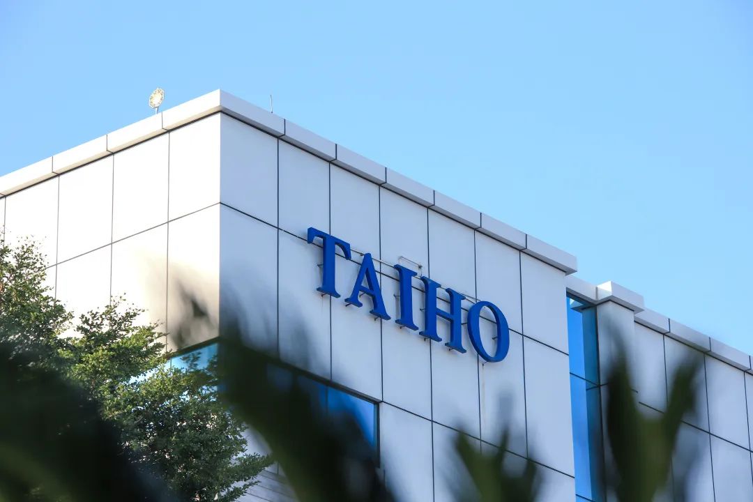 大宝油漆是几线品牌,大宝清漆十大品牌