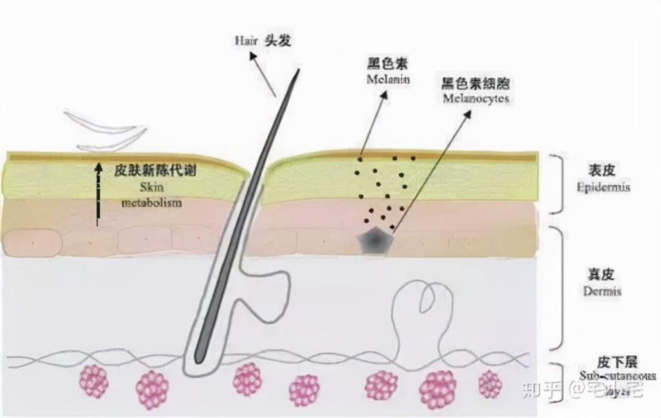比较温和的美白祛斑精华,小编给大家推荐几款有效祛斑精华