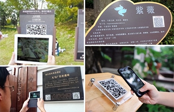 视频二维码怎么制作,怎样制作收款二维码