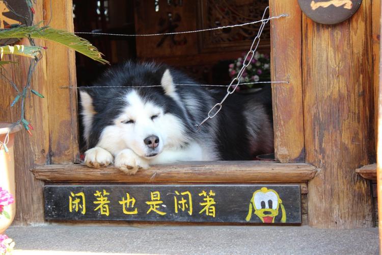 海外调查问卷赚钱是真的吗,海外问卷调查项目哪个靠谱